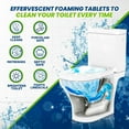 True Fresh Toilet Bowl Cleaner Tablets 24 Pack Toilet Bowl Cleaner