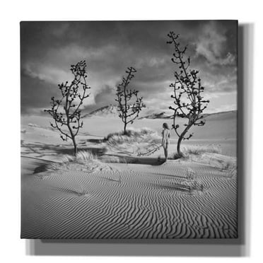Epic Graffiti 'Egarden' by Dariusz Klimczak, Canvas Wall Art, 37"x37"