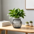 thumbnail image 2 of TACILIP Home Decor, 1PC Transparent Plastics Hydroponic Pot Automatic Water Absorption For Lazy Gardeners Especially For Pothos Plants And Other, Holiday Gifts, 2 of 6