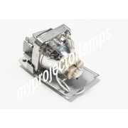 Vivitek ES2806F Projector Lamp with Module