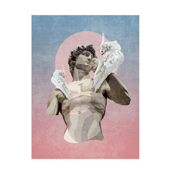 Trademark Fine Art Emel Tunaboylu Davut Papagan Canvas Wall Art