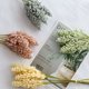 thumbnail image 4 of Monstrate 1/6/10 Uds. Espigas de grano pequeñas frescas con simulación de hierba ramo de flores flores secas decoración pastoral natural para el hogar Flores artificiales rosa Monstrate HA6566-01B, 4 of 6