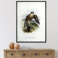 thumbnail image 2 of Designart 'Ancient Bird Life VIII' Traditional Framed Canvas Wall Art Print, 2 of 5