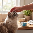 thumbnail image 6 of (12 pack) Special Kitty Special Supper Dinner Pate Wet Cat Food, 5.5 oz Can, 6 of 15