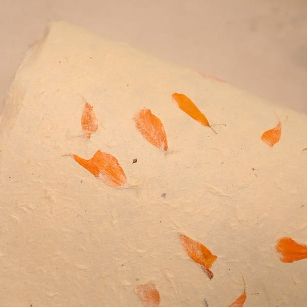 Zhuge Flores, regalos, papel de embalaje para cajas de regalo, papel de pétalos de plantas naturales hecho a mano (pétalos de naranja)