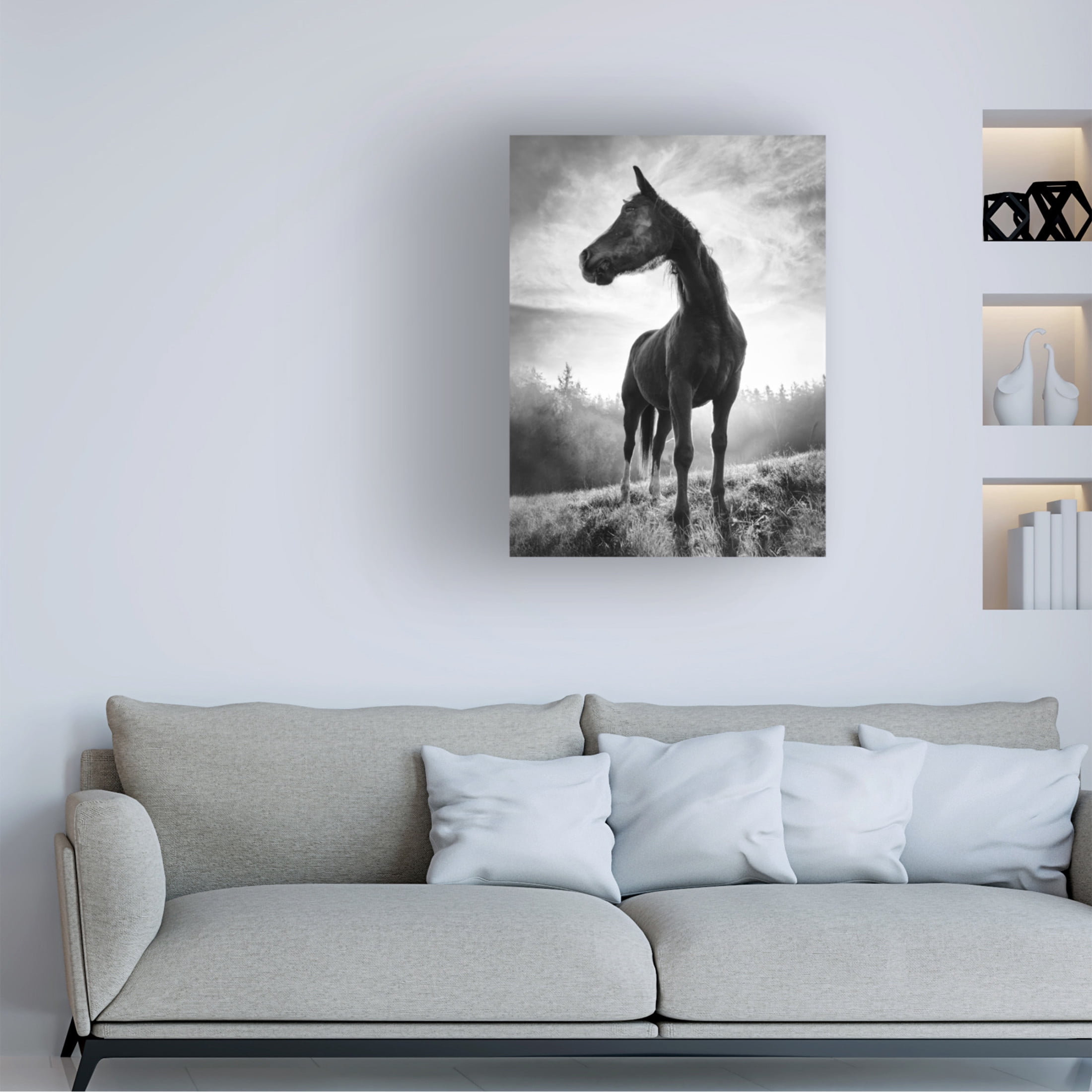 Trademark Fine Art Alessandro Accordini Backlight Horse Canvas Wall Art