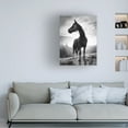 thumbnail image 4 of Trademark Fine Art Alessandro Accordini Backlight Horse Canvas Wall Art, 4 of 4