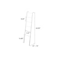 thumbnail image 5 of Yamazaki Home Leaning Storage Ladder, White, Steel, Supports 13.2 pounds, 5 of 5