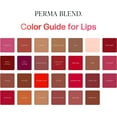 thumbnail image 5 of Perma Blend - Sultry Lip Set - Permanent Makeup to Enhance Lip Color - Lip Tattoo Ink Pigment - Set of 7 Includes Pink & Red Lip Blushes Plus Shading Solution - Vegan (0.5 oz Each), 5 of 6