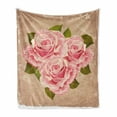 thumbnail image 1 of Rose Soft Flannel Fleece Blanket, Pink Bouquet of Roses Retro Design Nature Love Romance Theme Grunge Display, Cozy Plush for Indoor and Outdoor Use, 50" x 70", Tan Pale Pink Green, by Ambesonne, 1 of 6