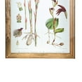 thumbnail image 4 of Rectangular Wooden Wall Art with Orchid Theme, Assortment of 4, White, 4 of 5