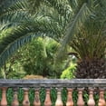 thumbnail image 2 of Crane, Rita 15x15 Gold Ornate Wood Framed with Double Matting Museum Art Print Titled - Palace Garden Palms I, 2 of 4