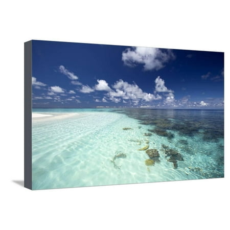 Tropical Lagoon and Coral Reef, Baa Atoll, Maldives, Indian Ocean, Asia Stretched Canvas Print Wall Art By Sakis
