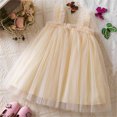 thumbnail image 4 of Odeerbi Toddler Girls Summer Tulle Tutu Dress Cute Ruffle Slip Strap Princess Dresses Sleeveless Lace Mesh Dress Toddler Girls Clothes, 4 of 4