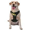 thumbnail image 1 of Fotbe MoonNight Sky Crow Arnés para Perro con Estampado –Chaleco Ajustable Acolchado con Asa de Control para Perros Grandes-Large, 1 of 6