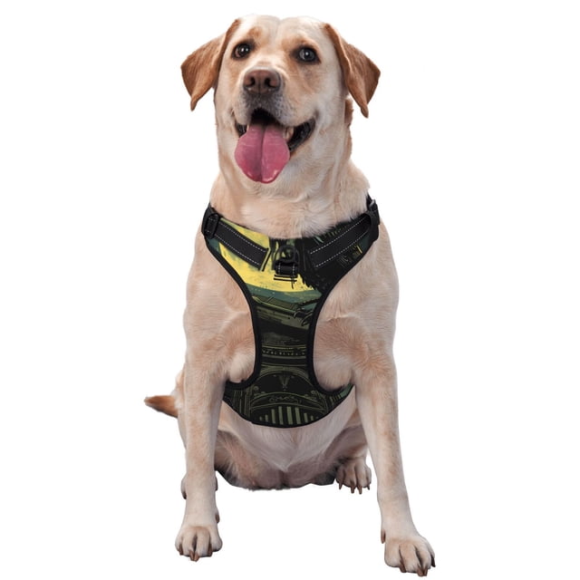Fotbe MoonNight Sky Crow Arnés para Perro con Estampado –Chaleco Ajustable Acolchado con Asa de Control para Perros Grandes-Large