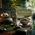 thumbnail image 3 of Scentsationals Wax Melts, Wax Cubes Strong Scent – Getaway Collection Kyoto Spa – Long Lasting Scented Melts for Warmer, 10oz (24-Cubes), 3 of 6