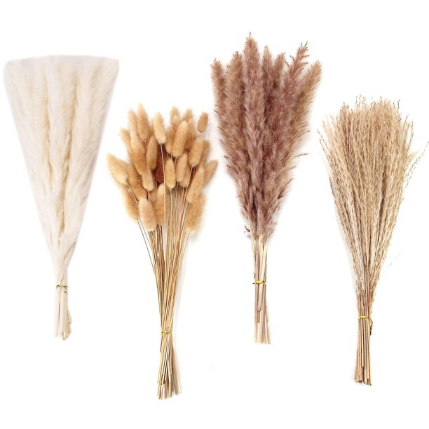 100 piezas secas Pampas hierba decoración Pampas hierba conejito flores secas caña hierba ramo para boda Pa
