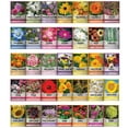 Gardeners Basics, Flower Seeds MMF7 Packets for Planting 35 Individual