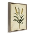 thumbnail image 2 of Stupell Industries Victorian Vintage Yellow Wheat Illustration Brown Floating Frame Canvas Art, 25 x 25, by Petals Prints Design, 2 of 7
