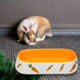 thumbnail image 1 of tredstone Non Slip Rabbit Feeder Bowl Feeding Basin for Hedgehog Gerbils Puppy Kitten 19cmx8.3cmx4.2cm, 1 of 9