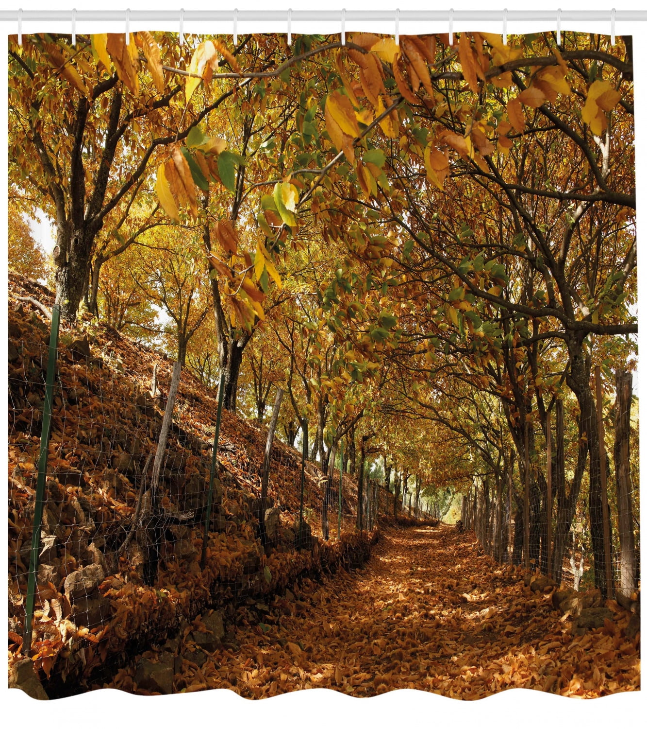 Nature Shower Curtain Autumn Foliage Forest With Deciduous Trees