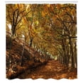 thumbnail image 3 of Ambesonne Nature Shower Curtain, Autumn Foliage Forest, 69"Wx84"L, Brown Amber Marigold, 3 of 3