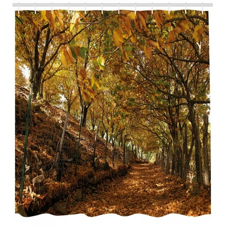 Nature Shower Curtain Autumn Foliage Forest With Deciduous Trees