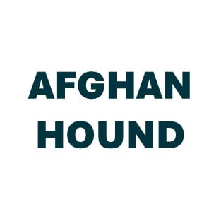 Afghan Hound Pill Butter