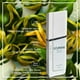 thumbnail image 2 of Perfume Spray EDT 3.3 oz Lomani, 2 of 5