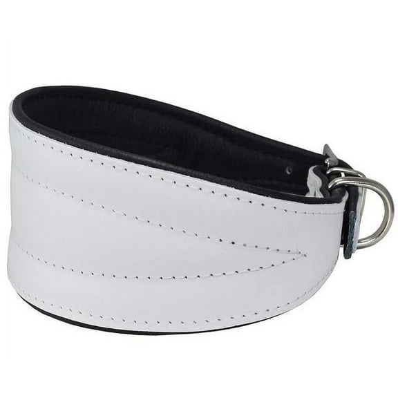 Dogs My Love Real Leather Extra Wide Padded Tapered Dog Collar (10"-11.25" Neck; 2" Wide, White)