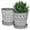Gray, variant on BUYMAX 6 inch Rustic Ceramic Planter with Handles, Embossed Sunflower Pot, Vintage Crackle Glaze Flower Container for Home & Garden Décor