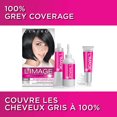 thumbnail image 3 of Clairol L'Image Permanent Hair Dye, 3 of 5