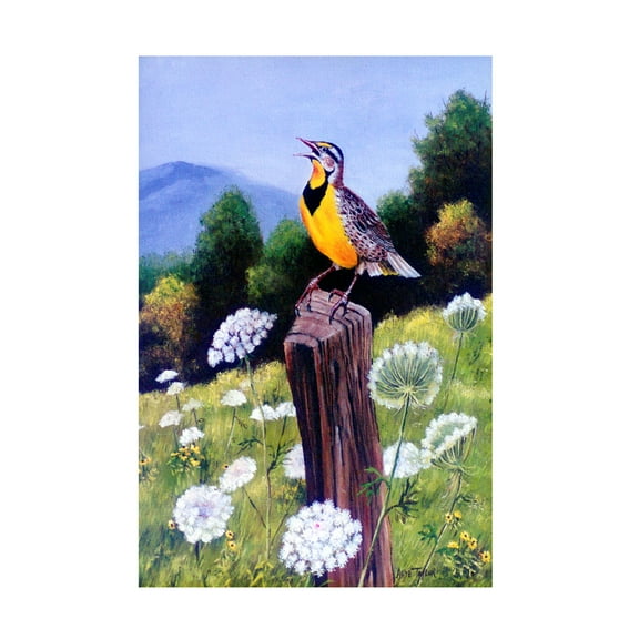 Trademark Fine Art 'Meadowlark' Canvas Art by Arie Reinhardt Taylor