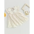 thumbnail image 3 of Bslissey Toddler Baby Girls Casual Princess Dress Ruffle Sleeveless Flower Embroidery Lace Tulle Dress 6M 12M 18M 24M 3T 4T Kids Sweet Summer A-line Dress for Daily Party, 3 of 8