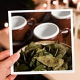 thumbnail image 7 of 3dRose, Peru, Cuzco. Coca leaves and tea cups - SA17 BJA0152 - Jaynes Gallery, 6 Greeting Cards with envelopes, 7 of 7