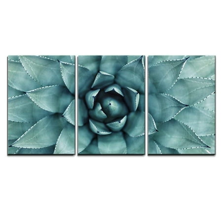 wall26 - 3 Piece Canvas Wall Art - Sharp Pointed Agave Plant Leaves - Modern Home Decor Stretched and Framed Ready to Hang - 24