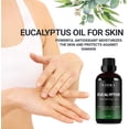 thumbnail image 3 of Eucalyptus Essential Oil - 100% Pure for Aromatherapy - for Skin, Hair, Scalp and Massage, 3 of 9
