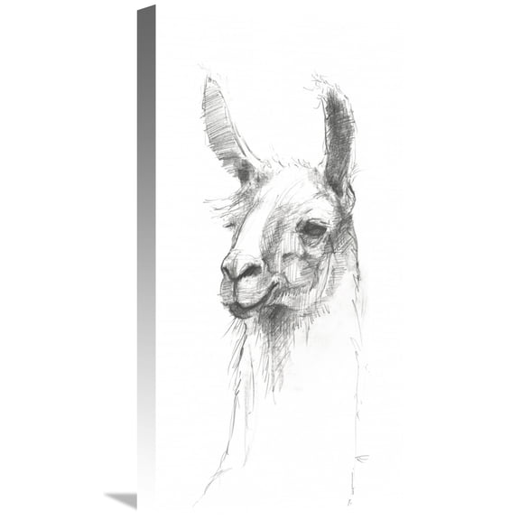 Global Gallery Avery Tillmon 'Bianca Pencil' Canvas Wall Art