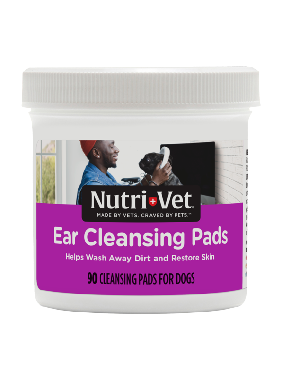 Dog Ear Care in Dog Health and Wellness