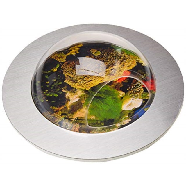 fish bubbles brushed aluminum fish bubble with deluxe wall mounted fish