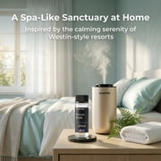 Scentia Dream Walk Aromatherapy Oil for Diffuser – Hotel Scent Inspired by 5-Star Spa Resort – 20 mL (0.67 fl oz)