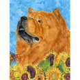 thumbnail image 1 of Carolines Treasures SS4135GF 11 x 15 In. Chow Chow Flag- Garden Size, 1 of 3