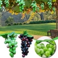 thumbnail image 1 of Xihbxyly Racimo de Uvas Artificiales, Uvas de Goma Moradas y Verdes Realistas, Material Suave y Muy Elástico, Guirnalda de Hiedra Decorativa Colgante, Decoración para El Hogar, Jardín, Boda, 36 Uvas, 1 of 6
