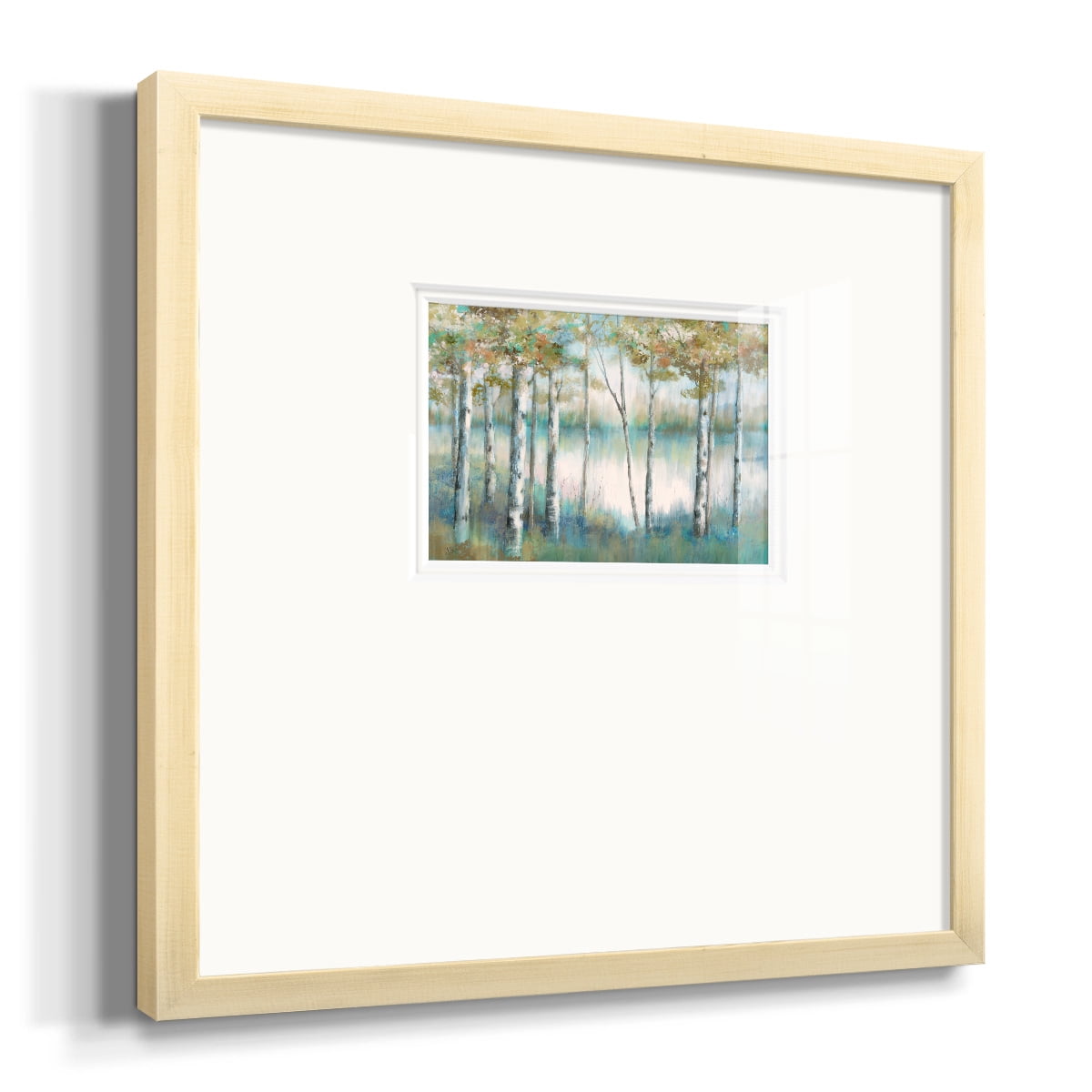 Aspen LakePremium Framed Print