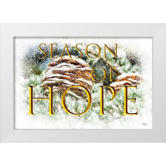 Murdock, Ramona 18x13 White Modern Wood Framed Museum Art Print Titled - Season of Hope