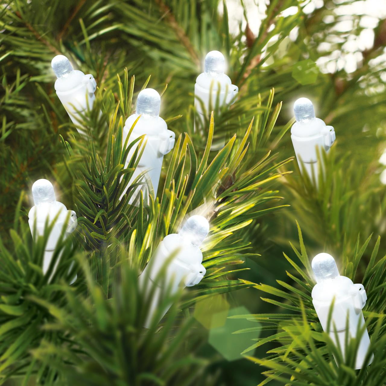 Buy Holiday Time 500Count Cool White LED Dome Christmas Lights, with