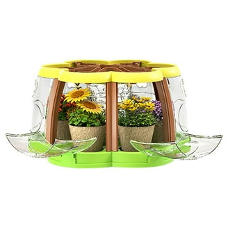 Toys By Nature Venus Fly Trap Kit - Carnivorous Bug Eating Plant