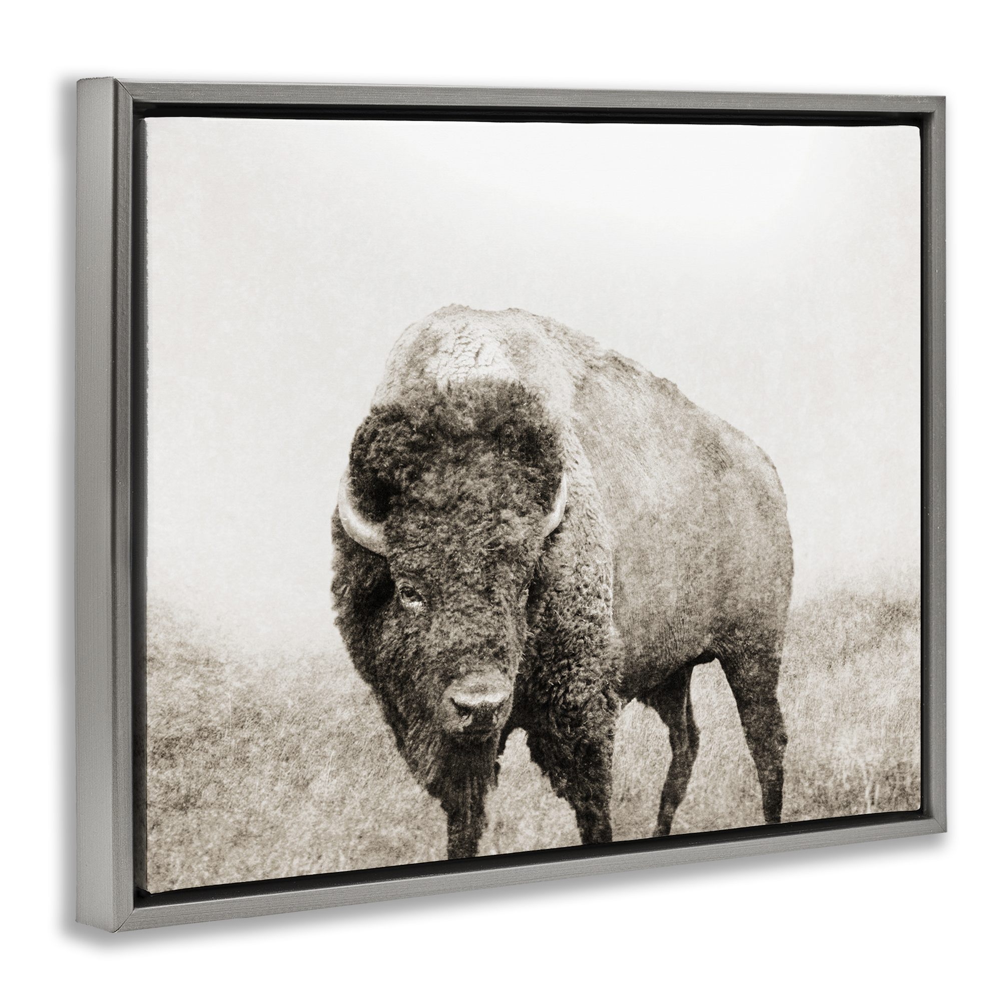 Stupell Industries Bison Distressed Portrait Animals & Insects Photography Gray Floater Framed Canvas Art Print Wall Art, 21 x 17
