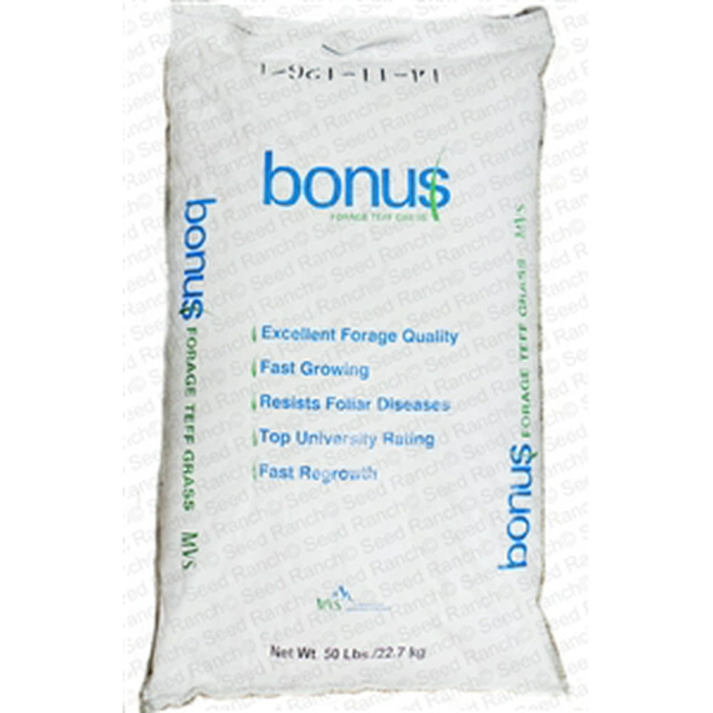 Bonus Teff Grass Seed 50 Lbs.